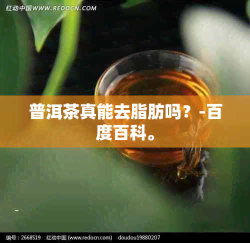 普洱茶真能去脂肪吗？-百度百科。