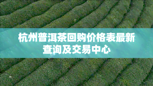 杭州普洱茶回购价格表最新查询及交易中心