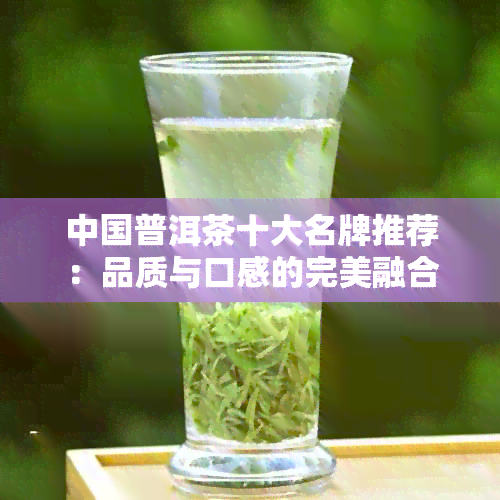 中国普洱茶十大名牌推荐：品质与口感的完美融合