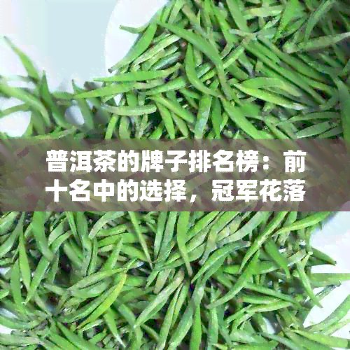 普洱茶的牌子排名榜：前十名中的选择，冠军花落谁家？