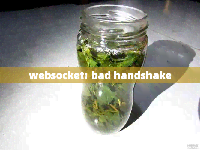 websocket: bad handshake