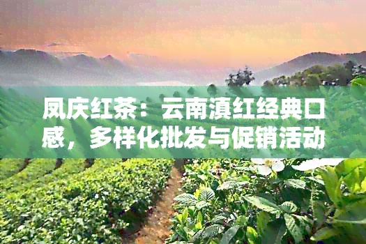 凤庆红茶：云南滇红经典口感，多样化批发与促销活动