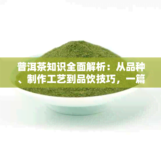 普洱茶知识全面解析：从品种、制作工艺到品饮技巧，一篇解答所有疑问