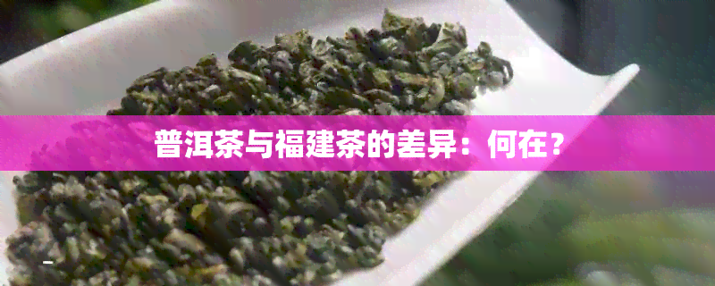 普洱茶与福建茶的差异：何在？