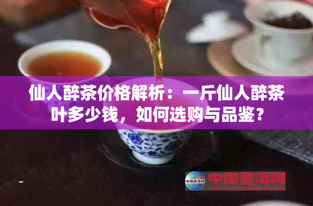 仙人醉茶价格解析：一斤仙人醉茶叶多少钱，如何选购与品鉴？