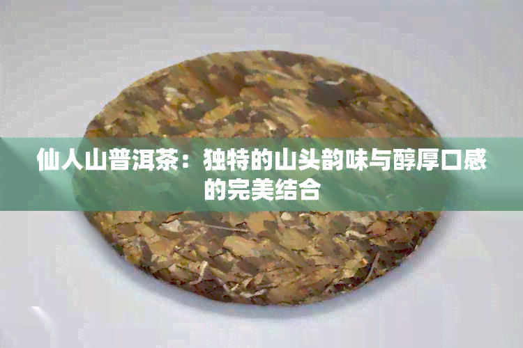 仙人山普洱茶：独特的山头韵味与醇厚口感的完美结合