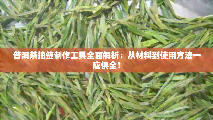 普洱茶抽签制作工具全面解析：从材料到使用方法一应俱全！