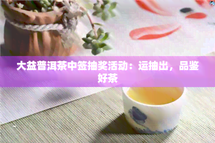 大益普洱茶中签抽奖活动：运抽出，品鉴好茶