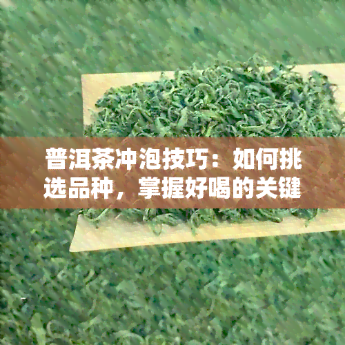 普洱茶冲泡技巧：如何挑选品种，掌握好喝的关键，深度推荐五大热门茶叶