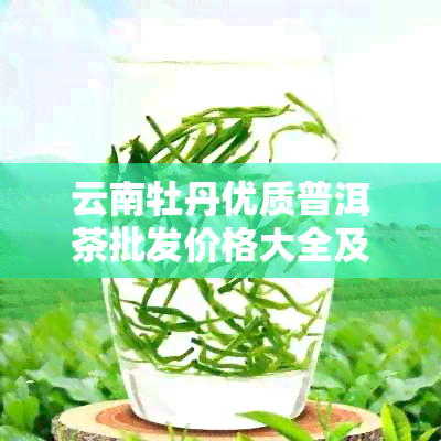 云南牡丹优质普洱茶批发价格大全及最新报价