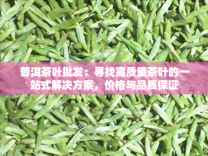 普洱茶叶批发：寻找高质量茶叶的一站式解决方案，价格与品质保证