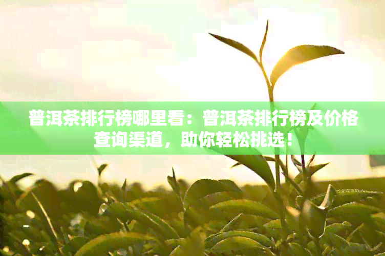 普洱茶排行榜哪里看：普洱茶排行榜及价格查询渠道，助你轻松挑选！