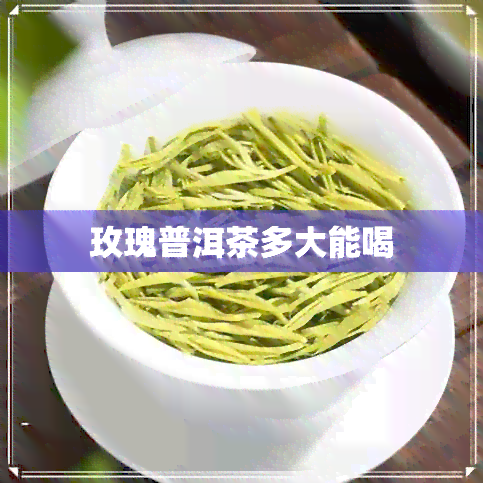 玫瑰普洱茶多大能喝