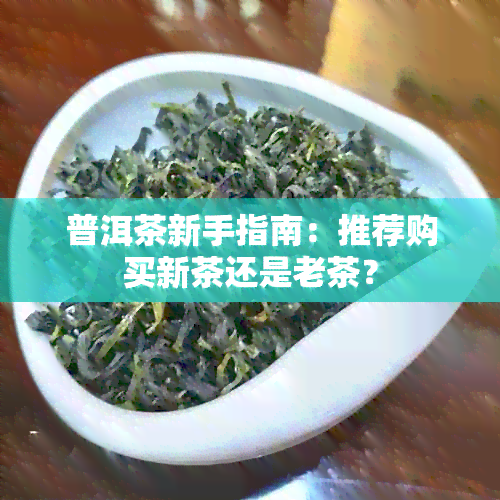 普洱茶新手指南：推荐购买新茶还是老茶？