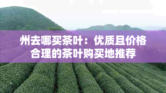 州去哪买茶叶：优质且价格合理的茶叶购买地推荐