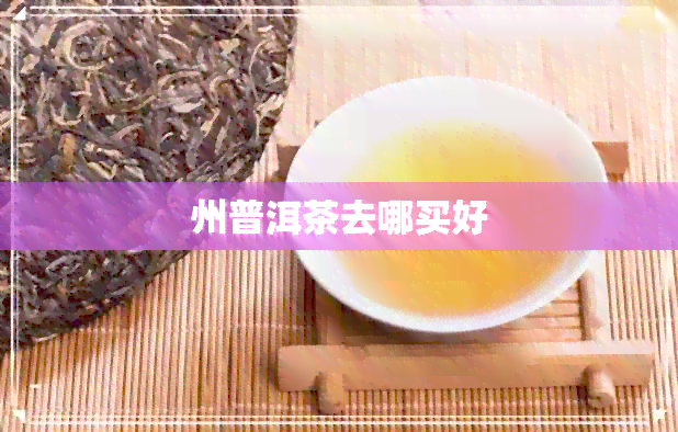 州普洱茶去哪买好