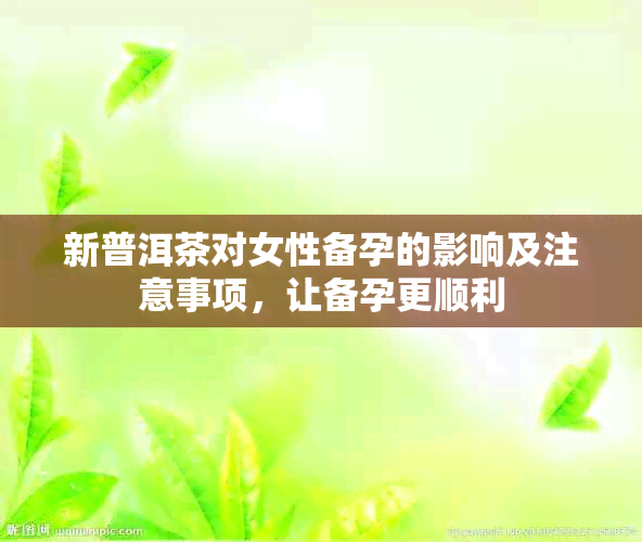 新普洱茶对女性备孕的影响及注意事项，让备孕更顺利