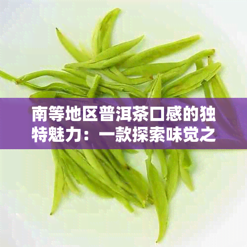 南等地区普洱茶口感的独特魅力：一款探索味觉之旅