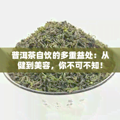 普洱茶自饮的多重益处：从健到美容，你不可不知！