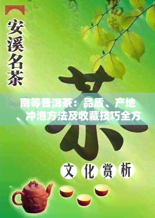 南等普洱茶：品质、产地、冲泡方法及收藏技巧全方位解析