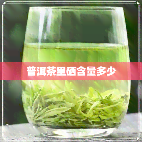 普洱茶里硒含量多少