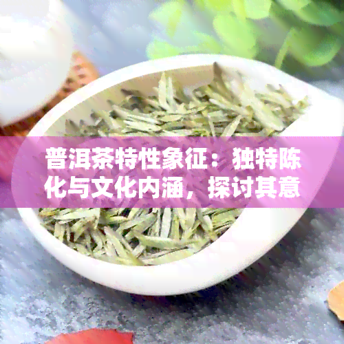 普洱茶特性象征：独特陈化与文化内涵，探讨其意义与价值。