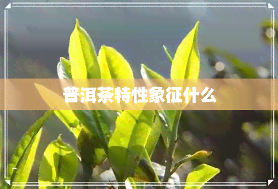 普洱茶特性象征什么