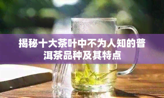 揭秘十大茶叶中不为人知的普洱茶品种及其特点