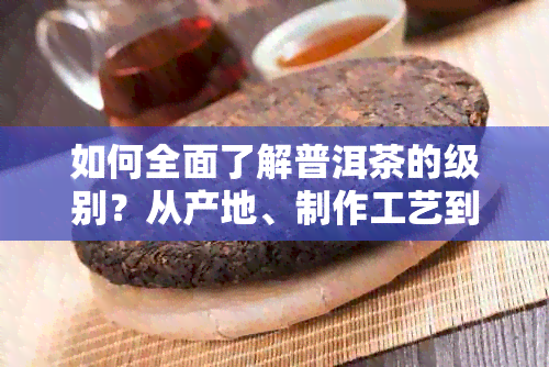 如何全面了解普洱茶的级别？从产地、制作工艺到品质特点一文解析