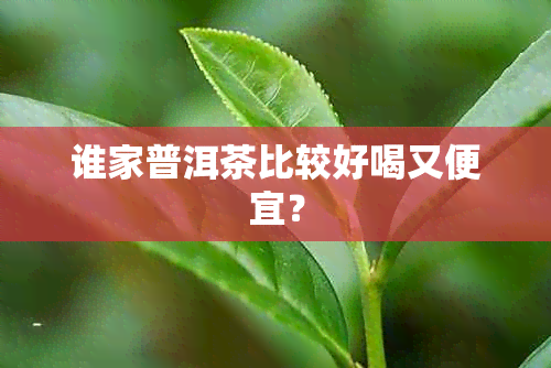 谁家普洱茶比较好喝又便宜？