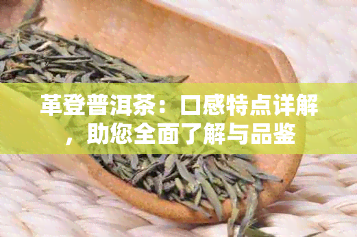 革登普洱茶：口感特点详解，助您全面了解与品鉴