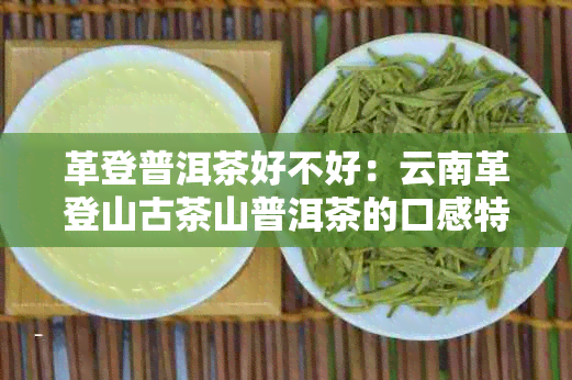 革登普洱茶好不好：云南革登山古茶山普洱茶的口感特点与独特魅力