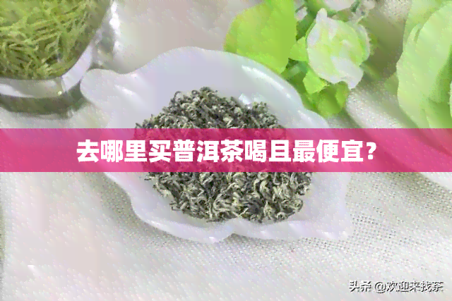 去哪里买普洱茶喝且更便宜？