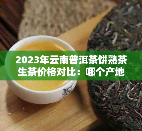 2023年云南普洱茶饼熟茶生茶价格对比：哪个产地的茶叶更值得收藏？