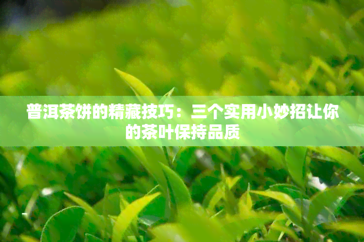 普洱茶饼的精藏技巧：三个实用小妙招让你的茶叶保持品质