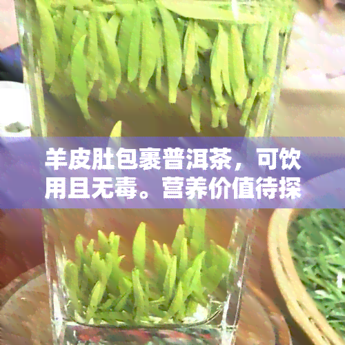 羊皮肚包裹普洱茶，可饮用且无。营养价值待探讨。