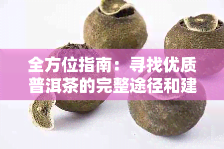 全方位指南：寻找优质普洱茶的完整途径和建议