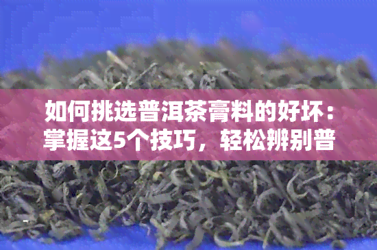 如何挑选普洱茶膏料的好坏：掌握这5个技巧，轻松辨别普洱茶膏料的优劣