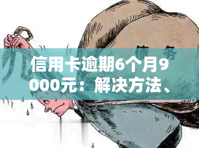 信用卡逾期6个月9000元：解决方法、影响与如何规划还款计划