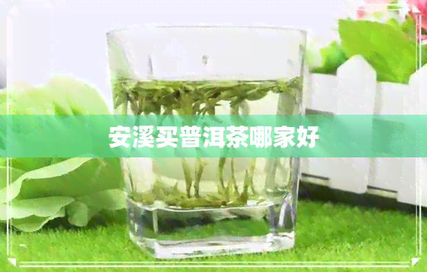 安溪买普洱茶哪家好