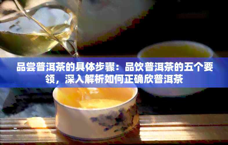 品尝普洱茶的具体步骤：品饮普洱茶的五个要领，深入解析如何正确欣普洱茶