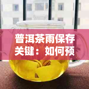 普洱茶雨保存关键：如何预防发霉？了解原因和解决方法