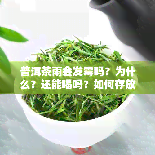 普洱茶雨会发霉吗？为什么？还能喝吗？如何存放？雨节普洱茶需注意。