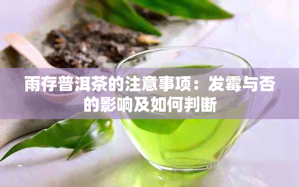 雨存普洱茶的注意事项：发霉与否的影响及如何判断