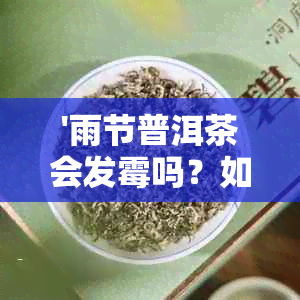 '雨节普洱茶会发霉吗？如何保存避免受潮？'