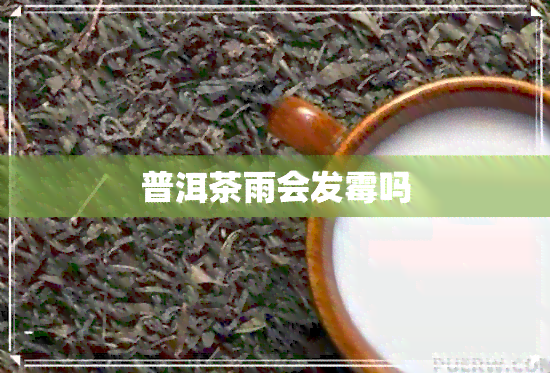 普洱茶雨会发霉吗