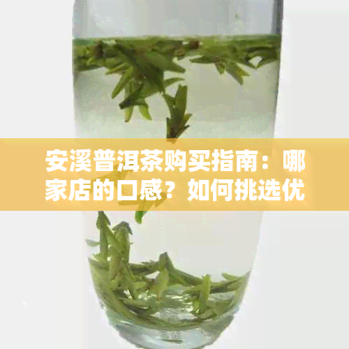 安溪普洱茶购买指南：哪家店的口感？如何挑选优质茶叶？