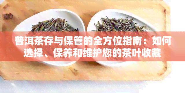 普洱茶存与保管的全方位指南：如何选择、保养和维护您的茶叶收藏