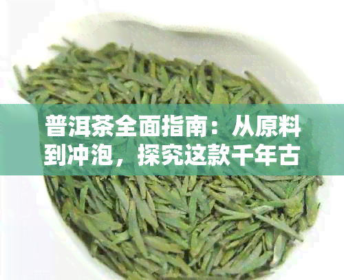 普洱茶全面指南：从原料到冲泡，探究这款千年古树茶的奥秘