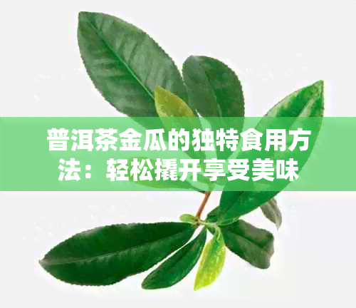 普洱茶金瓜的独特食用方法：轻松撬开享受美味